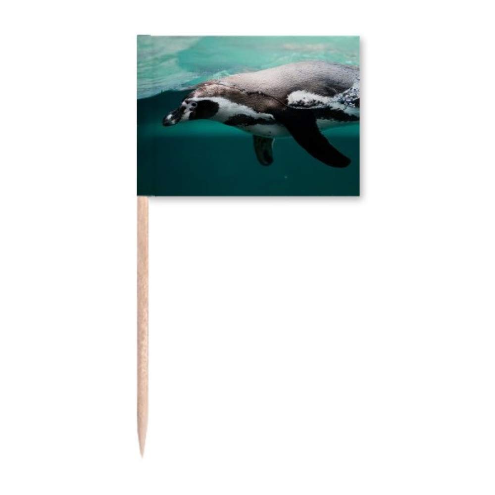 Ocean Deep Blue Penguin Water Picture Toothpick Flags - 50pcs Party Decorations for Cupcakes, Appetizers & Desserts - Perfect for Birthday, Baby Shower & Holiday Celebrations