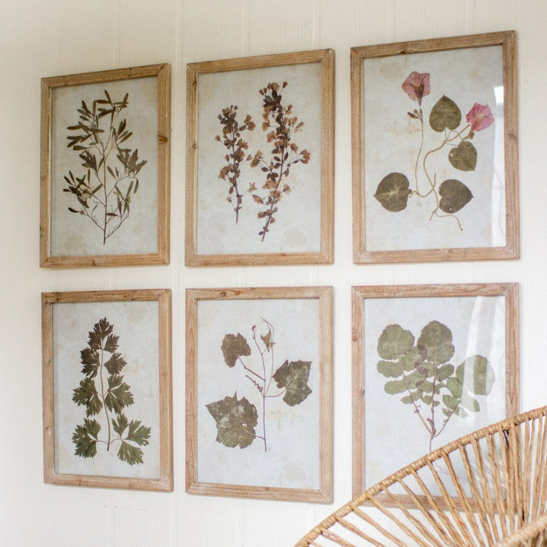 Leaf Framed Prints Set - Botanical Wall Art Decor for Living Room, Bedroom & Office - Nature Inspired Home Decor with Ready-to-Hang Wooden Frames (Set of 3) - Perfect for Housewarming Gifts & Interior Design