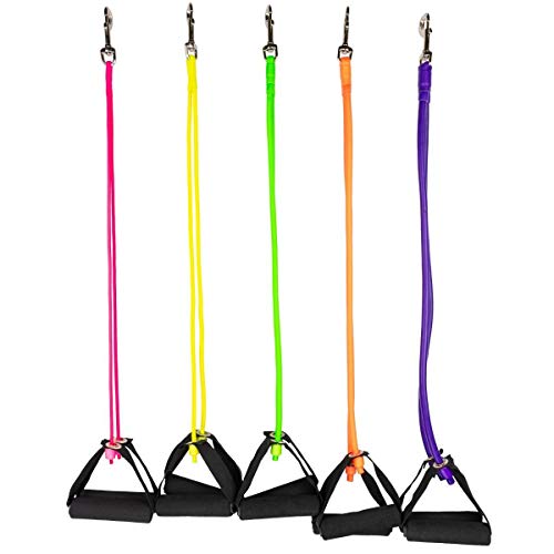 TheraSlide Rail System Replacement Bands with Handles and Clips - Durable Exercise Accessory for Physical Therapy, Home Workouts, and Mobility Training
