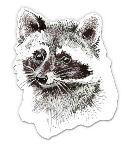 Raccoon Drawing 3