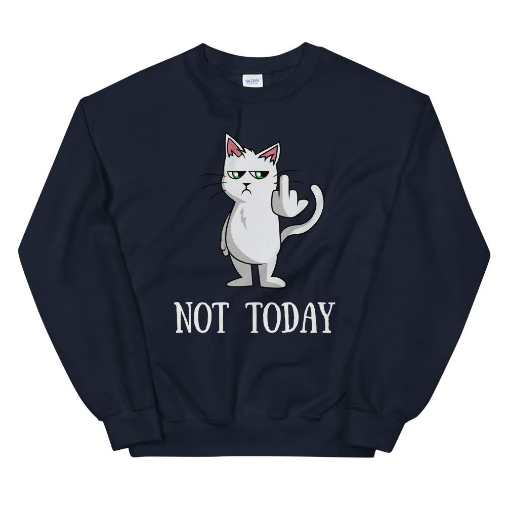 Not Today! Funny Middle Finger Cat Lady T-Shirt - Unisex Sweatshirt Gift for Women - Perfect for Cat Lovers, Birthday Gifts & Sarcastic Humor Apparel
