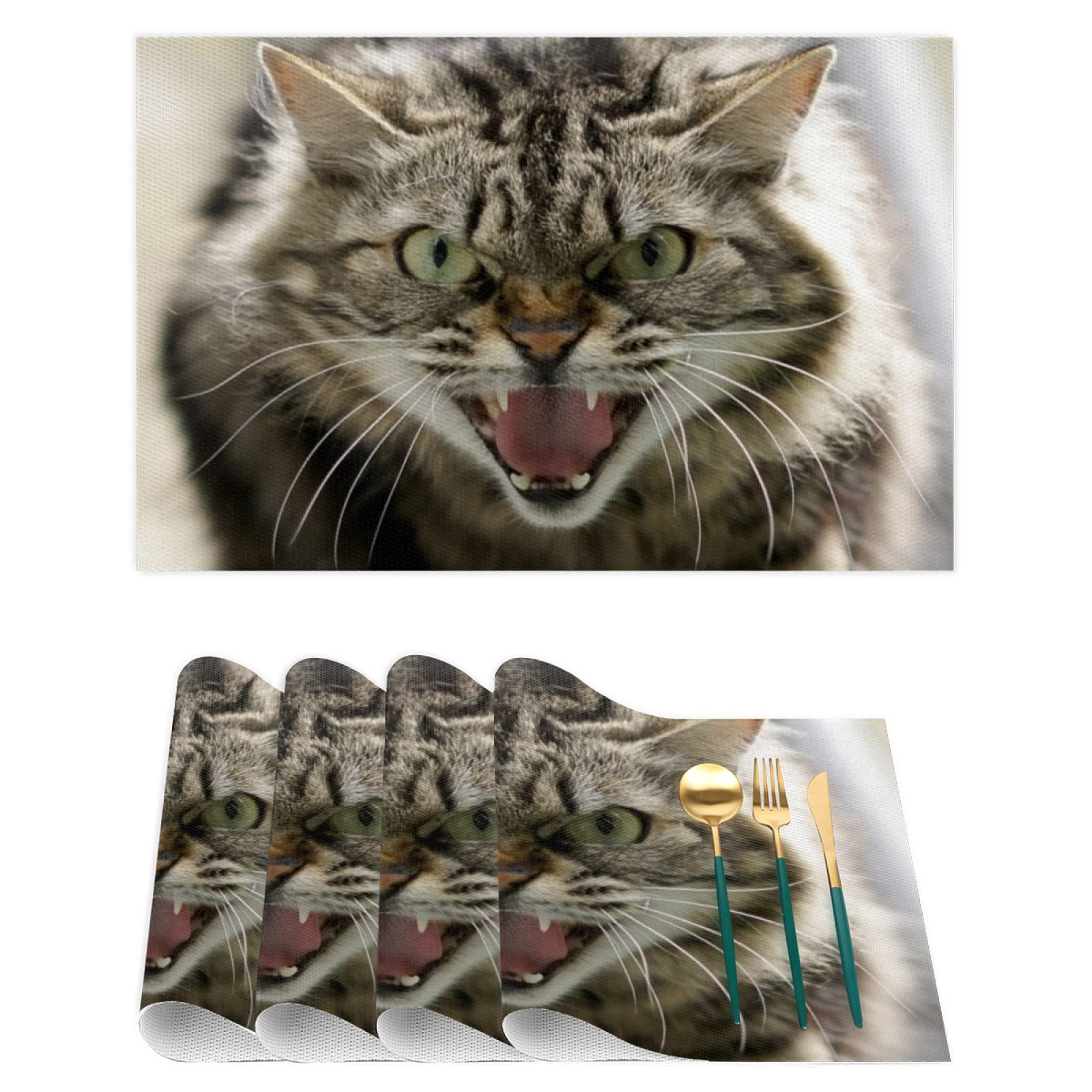 Angry Animal Cat Placemats Set of 4 - Heat & Stain Resistant PVC Vinyl Table Mats for Kitchen Dining - Washable & Durable - Perfect for Everyday Meals, Dinner Parties & Pet-Friendly Homes