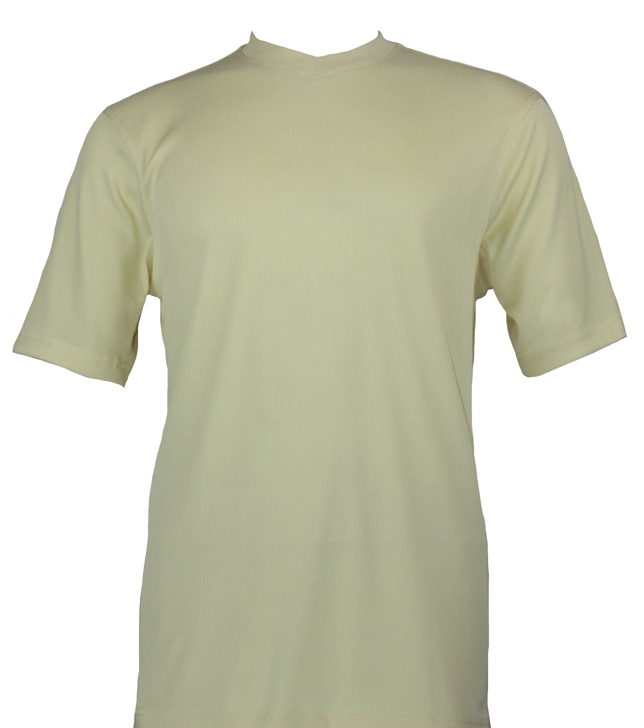 Bassiri Short Sleeve V-Neck Butter Soft T-Shirt for Women - Comfortable Casual Summer Top for Everyday Wear, Work, and Outings