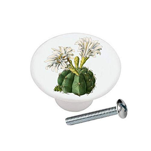 White Spider Cactus Knob - Glossy Ceramic Drawer Pulls for Dresser & Cabinets - Unique Kitchen & Bathroom Hardware for Home Decor