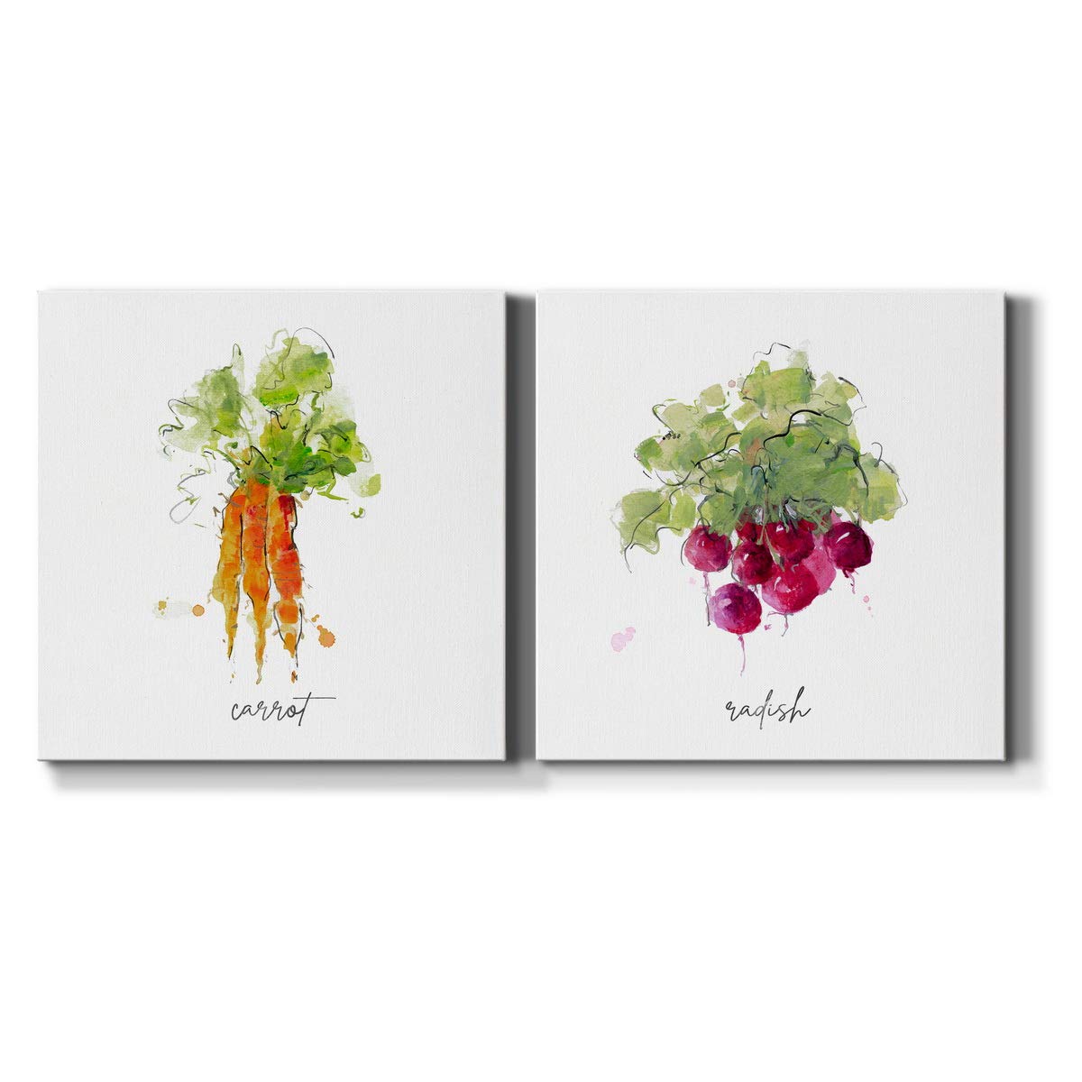 Premium Gallery Wrapped Canvas Wall Art - Kitchen Carrot Sketch Print, 40x40 Inches, Ready to Hang, Made in USA | Modern Farmhouse & Kitchen Decor for Dining Room, Restaurant, or Country Style Home