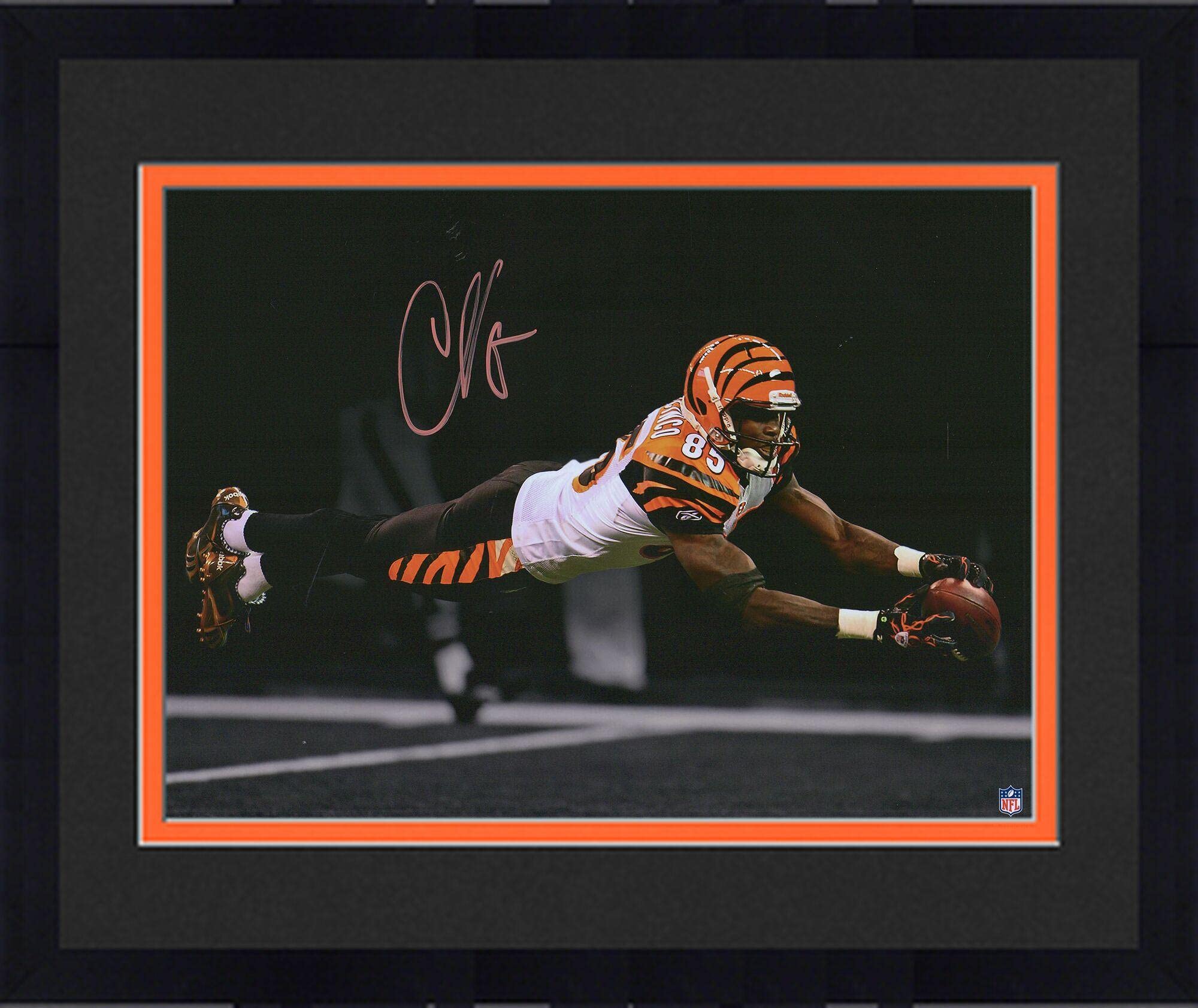 Authentic Framed Chad Johnson Cincinnati Bengals Autographed 11x14 Inch Diving Spotlight Photograph - Signed NFL Memorabilia for Sports Collectors & Man Cave Decor