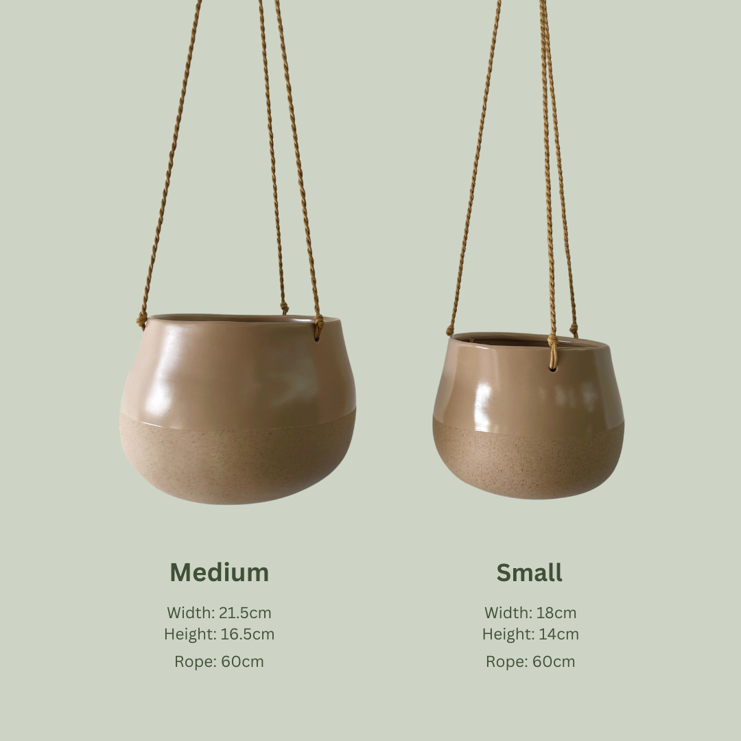 Leni Hanging Ceramic Planter | Almond Shaped Wall Decor for Home & Garden | Perfect for Indoor Plants, Succulents, and Small Flowers