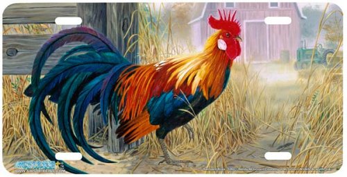 Randy McGovern Airstrike Barnyard Boss Chicken Art Print & License Plate - Farmhouse Decor, Funny Chicken Lover Gift, Kitchen Wall Art for Country Home