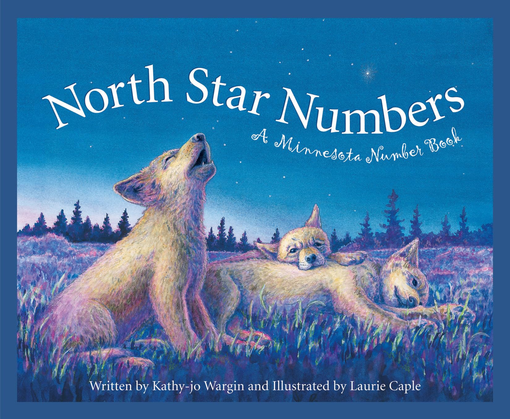 North Star Numbers: A Minnesota Number Book - Educational Counting Book for Kids | Learn Numbers with Minnesota-Themed Illustrations | Perfect for Homeschooling, Classroom Learning & Bedtime Stories