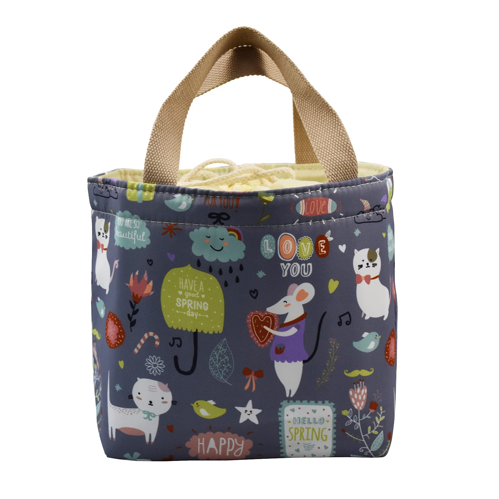 Insulated Cute Lunch Tote Bag with Drawstring - Reusable Small Lunch Box for Women & Girls - Perfect for School, Work, Picnics & Spring Outings