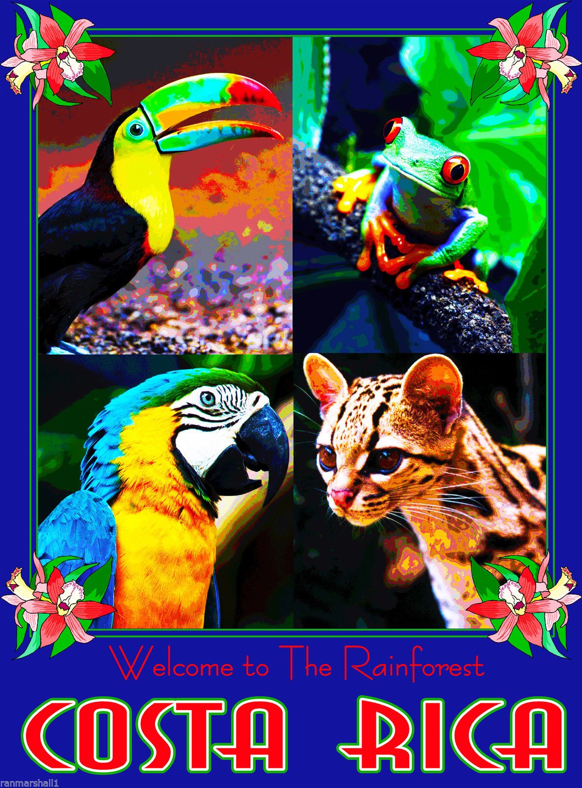 Costa Rica Travel Souvenir Magnet - Welcome to the Rainforest Central America Fridge Magnet for Collectors & Tourists - Perfect for Refrigerators, Lockers & Travel Scrapbooks