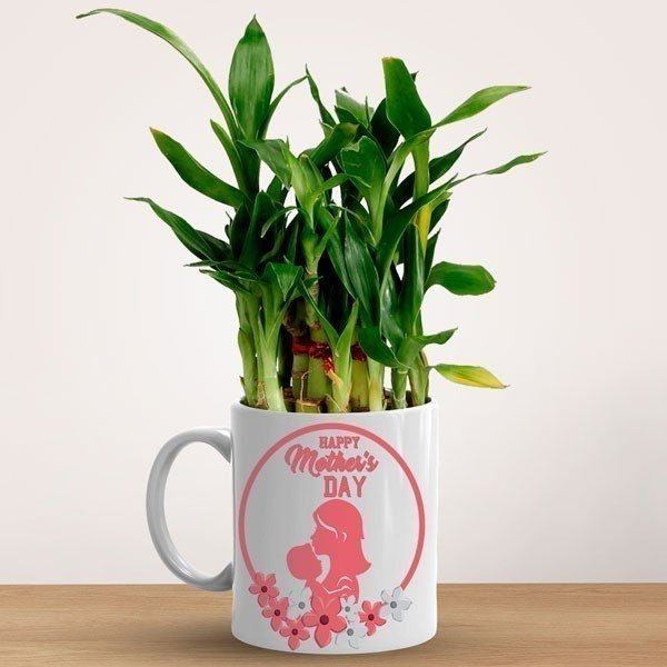 Personalized 'Happy Mother's Day' Ceramic Mug with Lucky Bamboo Plant - Thoughtful Gift for Mom, Birthday, Anniversary & Special Occasions