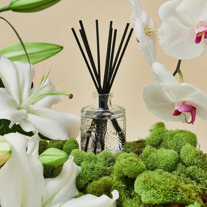 Premium Mokara Reed Diffuser Set - Long-Lasting Aromatherapy Essential Oil Diffuser with Natural Rattan Reeds - Perfect for Home, Office, Spa & Gift Giving
