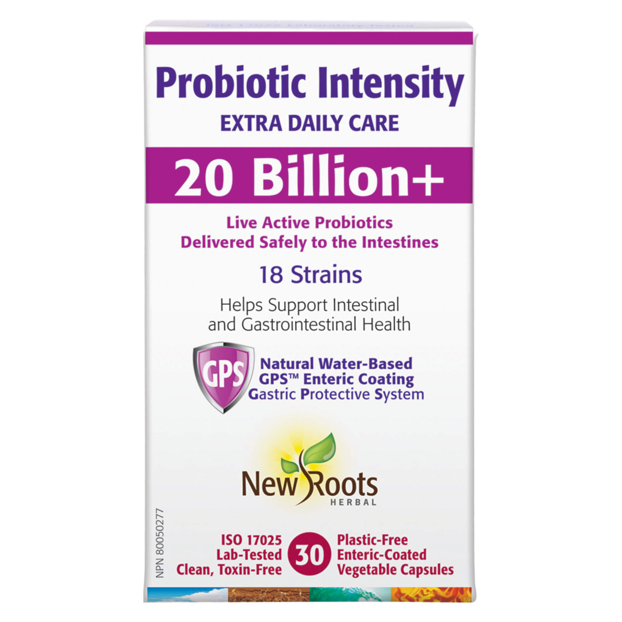 High Potency Probiotic Supplement for Gut Health - Supports Digestion & Immune System - Ideal for Daily Wellness & Travel