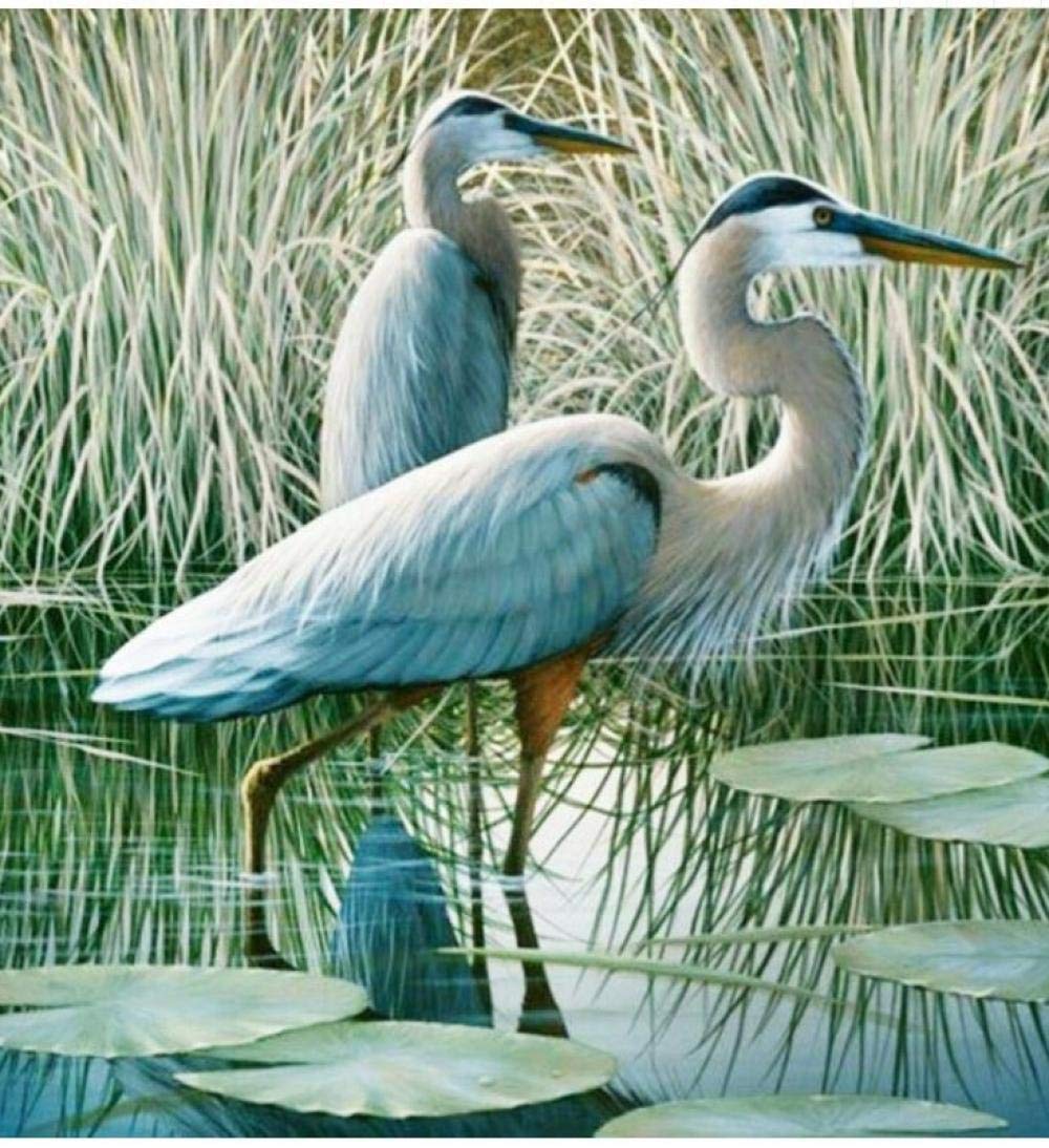 1000 Piece Jigsaw Puzzle for Adults - Unique Lotus Leaf & Great Blue Heron Wooden Puzzle (50x75cm) | Perfect Fit, Premium Quality | Relaxing Family Game Night & Home Decor Gift Idea