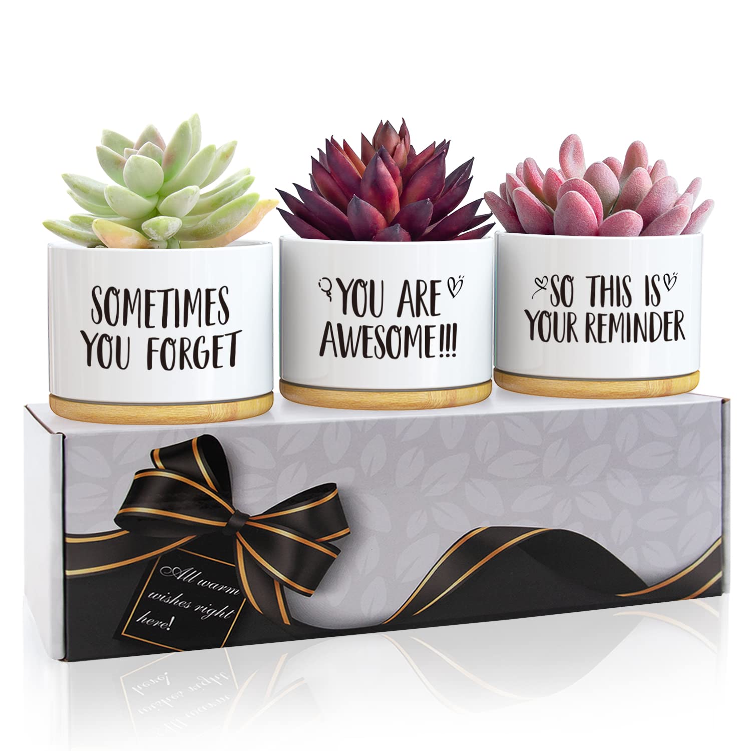 Unique Succulent Pots Set of 3 - Funny & Thoughtful Birthday Gifts for Women, Best Friend Gifts, Mom Presents - Perfect for Home Decor, Office Desk & Plant Lovers
