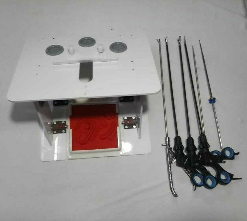 8-Piece Dental Endo Box Instrument Set for Student Training & Practice - Perfect for Endodontic Procedures & Dental School Labs