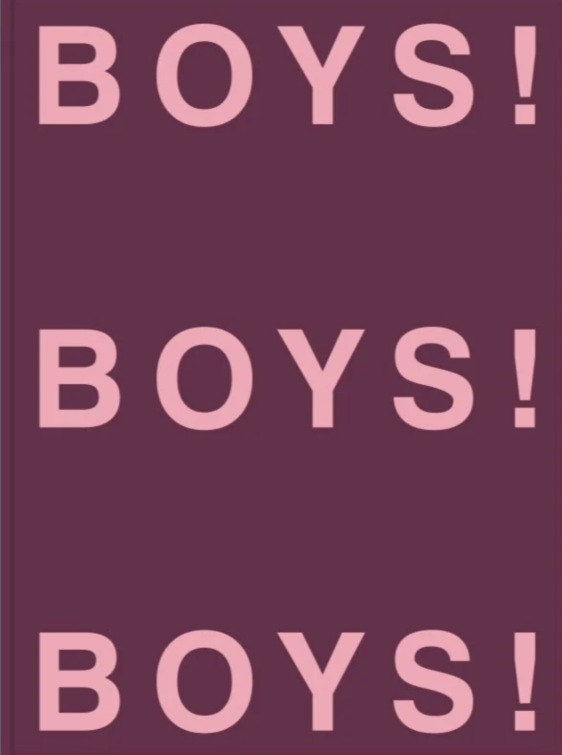 BOYS! BOYS! BOYS! Volume 6 Collector's Edition - Rare Photobook for Male Model Enthusiasts, Perfect for Art Collectors and Fashion Photography Fans