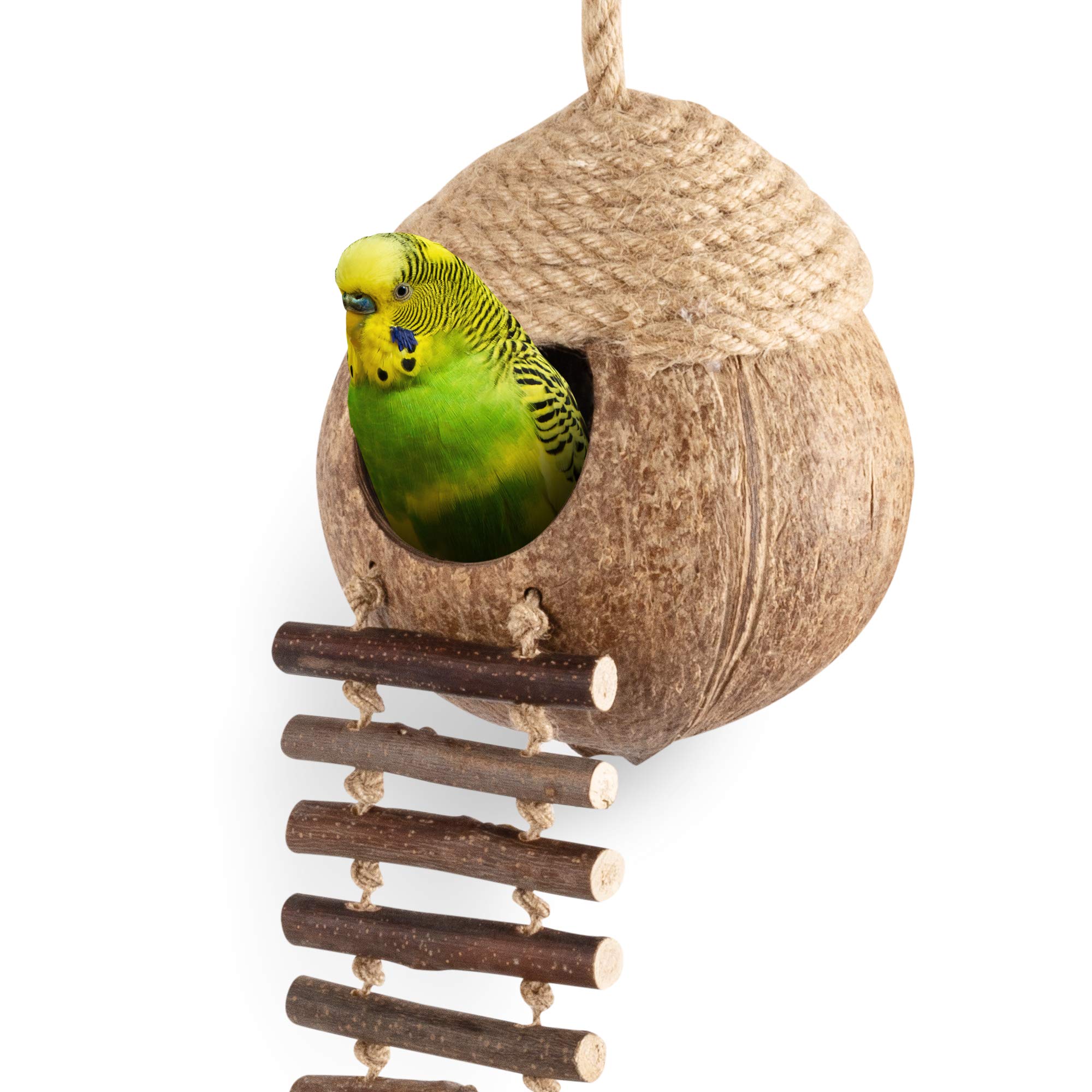 Natural Coconut Bird Nest Hut with Ladder - Perfect for Parrots, Parakeets, Conures & Cockatiels | Small Pet Cage Habitat & Decor | Ideal for Climbing, Resting & Nesting Activities