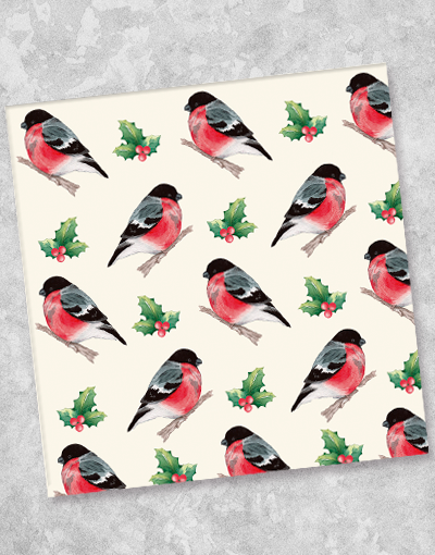 Festive Flock Beverage Napkins - 40 Count, Holiday Party Decor, Christmas Cocktail Napkins for Drinks, Coasters & Table Setting