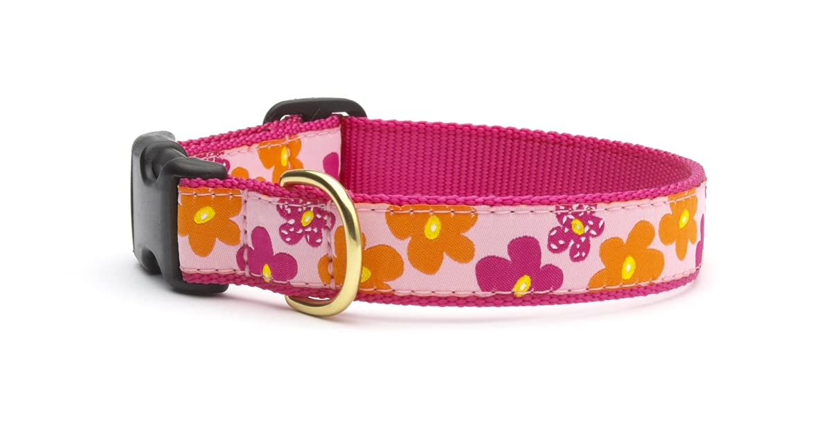 Up Country Flower Power Dog Collar XL - Durable Pet Collar with Vibrant Floral Pattern for Medium & Large Dogs - Perfect for Walks, Training & Outdoor Adventures