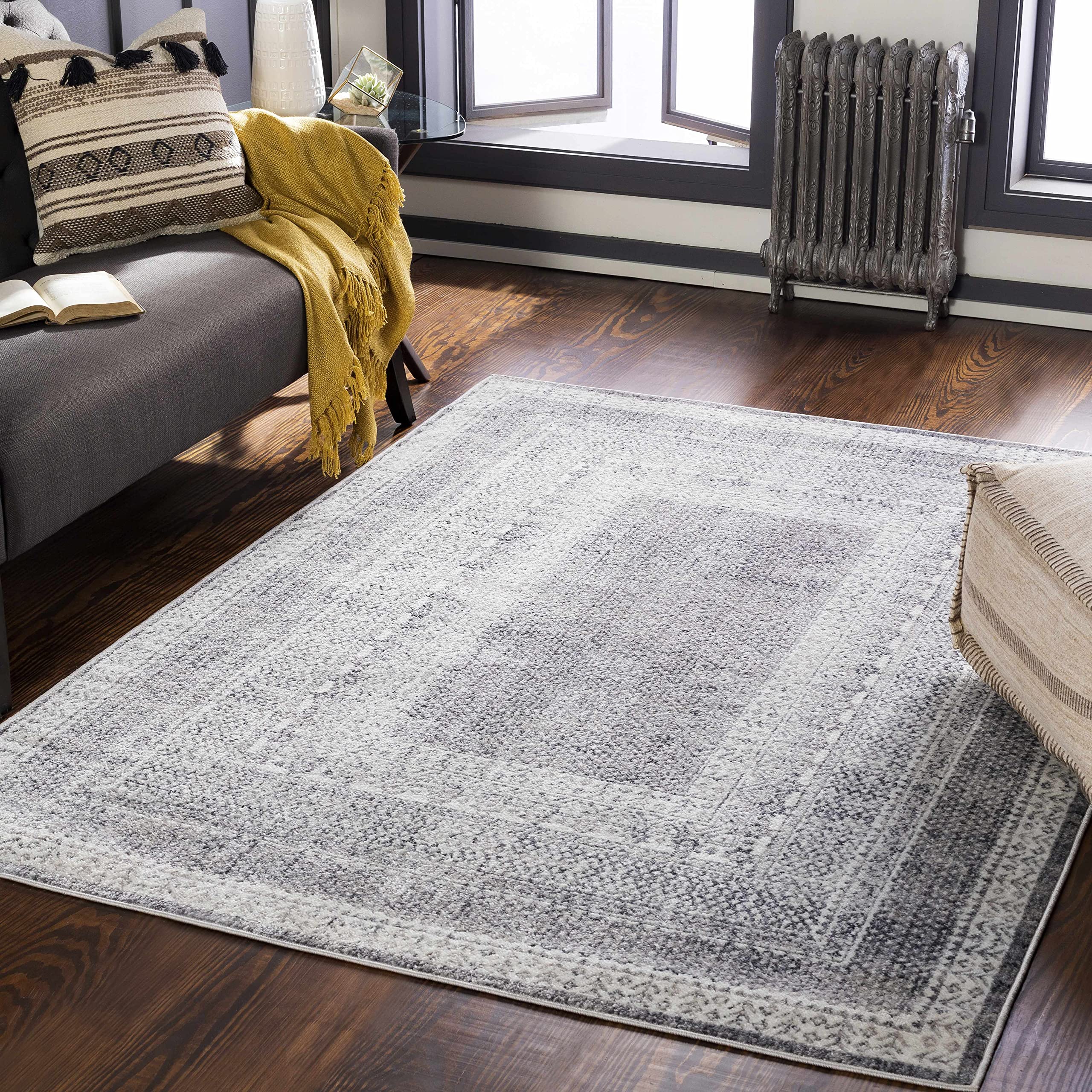 Hauteloom Blarney Traditional Gray and Beige Area Rug 7'10