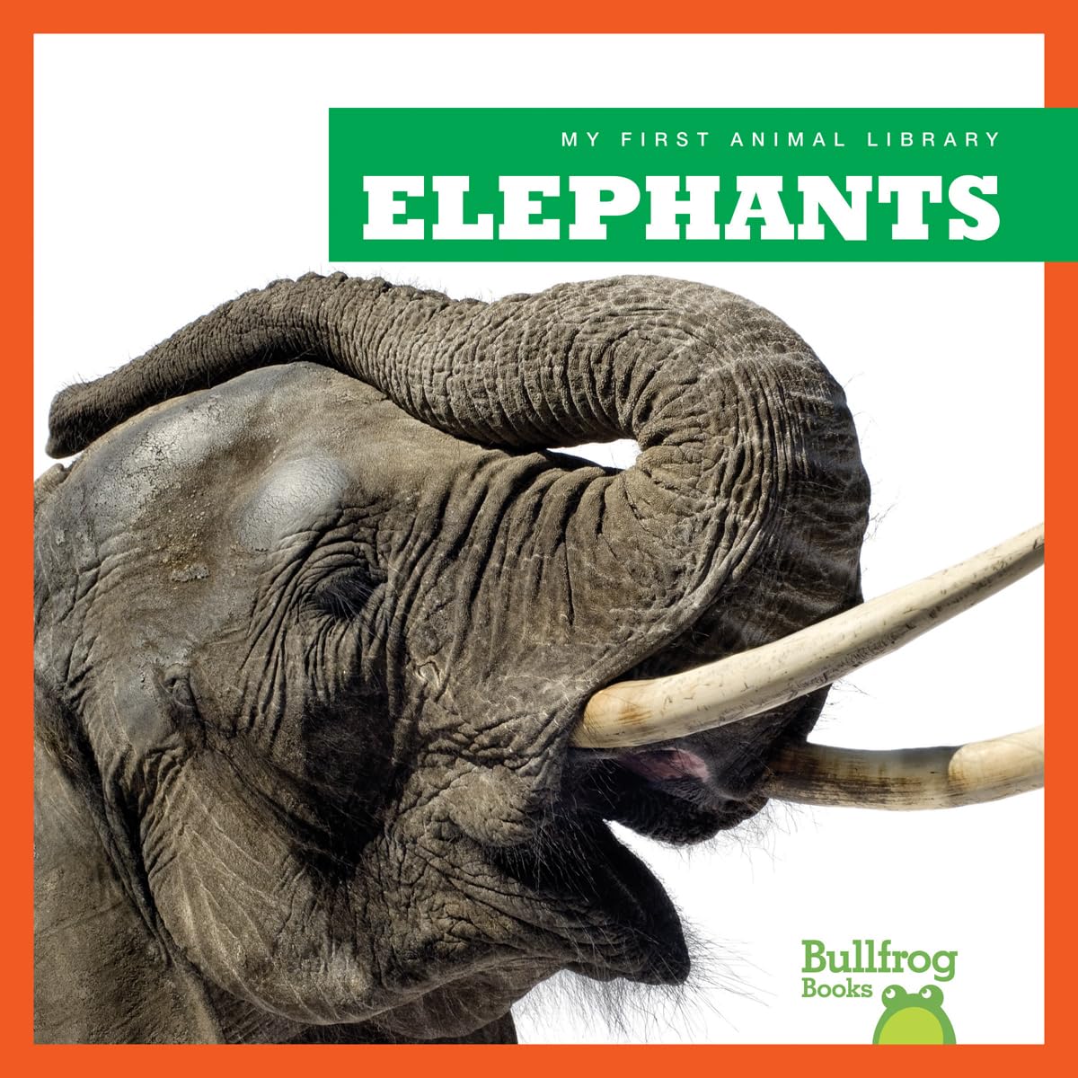 My First Animal Library: Elephants - Fun & Educational Book for Kids | Perfect for Preschool Learning & Storytime