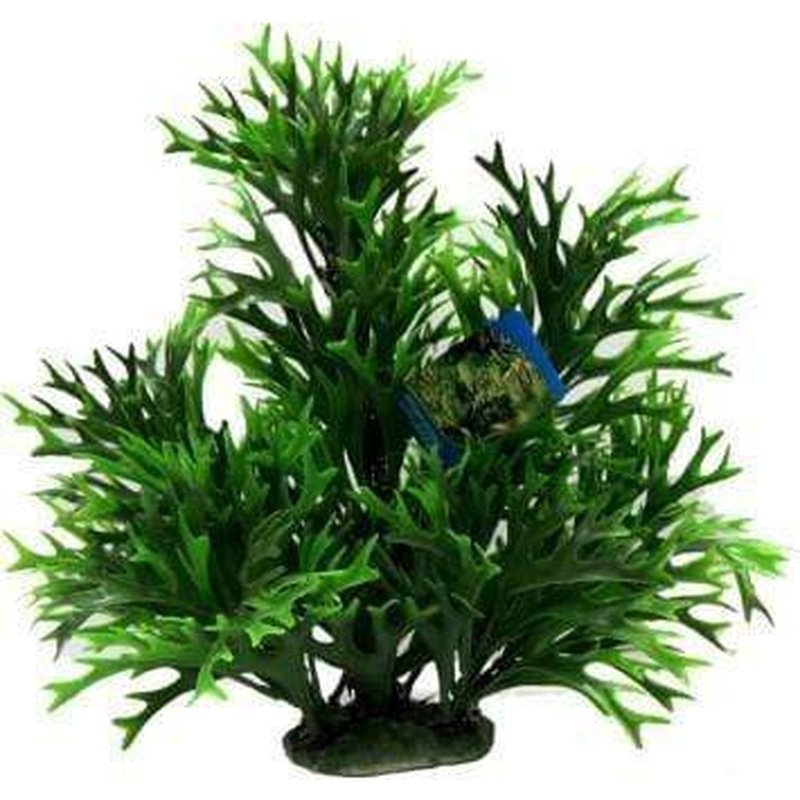 Amazon Jungle Kelp Tree - Premium Artificial Plant for Home & Office Decor | Perfect for Living Room, Bedroom, or Workspace