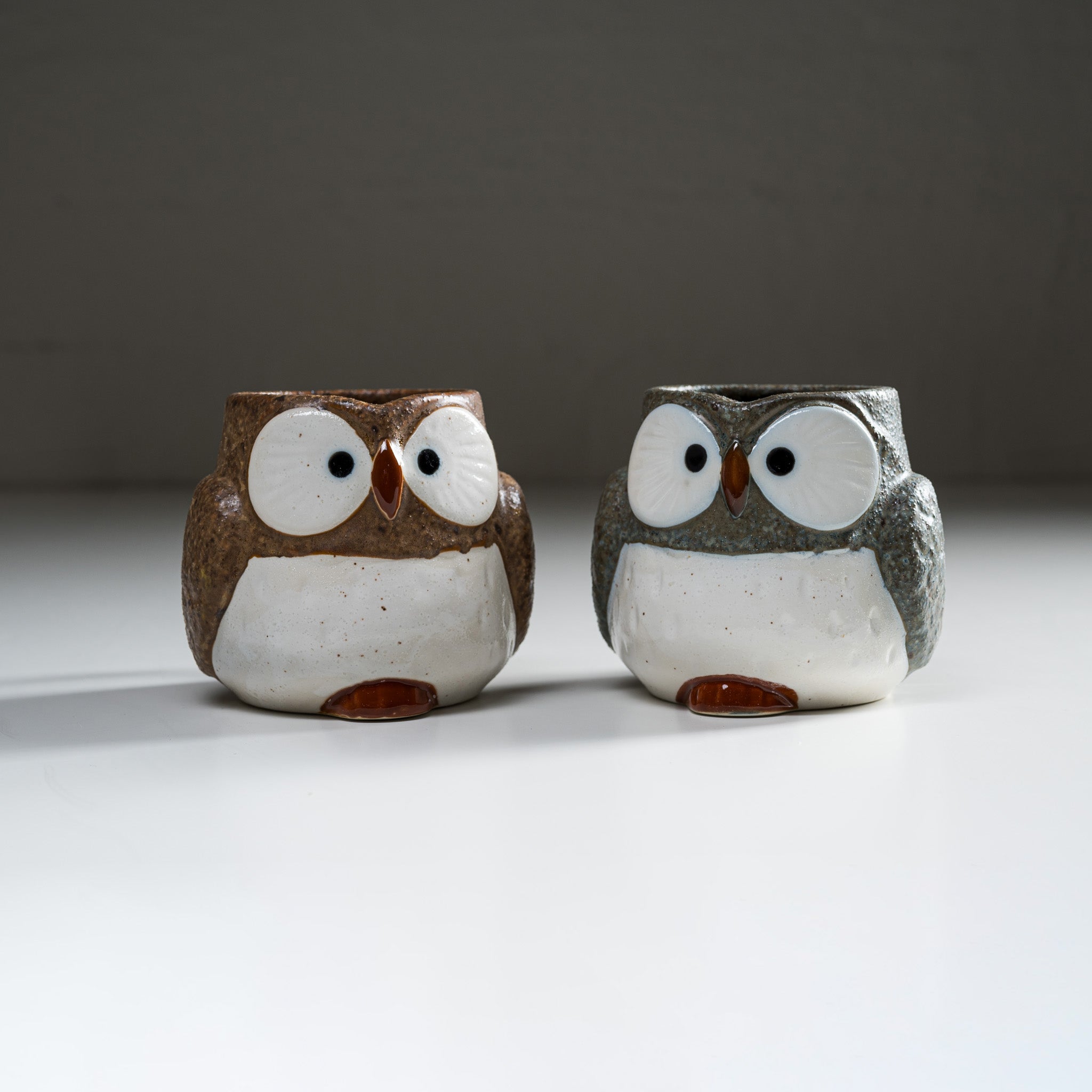 Twins Owl Pair Mug Cups - Cute Ceramic Coffee Mugs for Couples, Best Friends & Siblings - Perfect for Valentine's Day Gifts, Housewarming & Cozy Coffee Time at Home