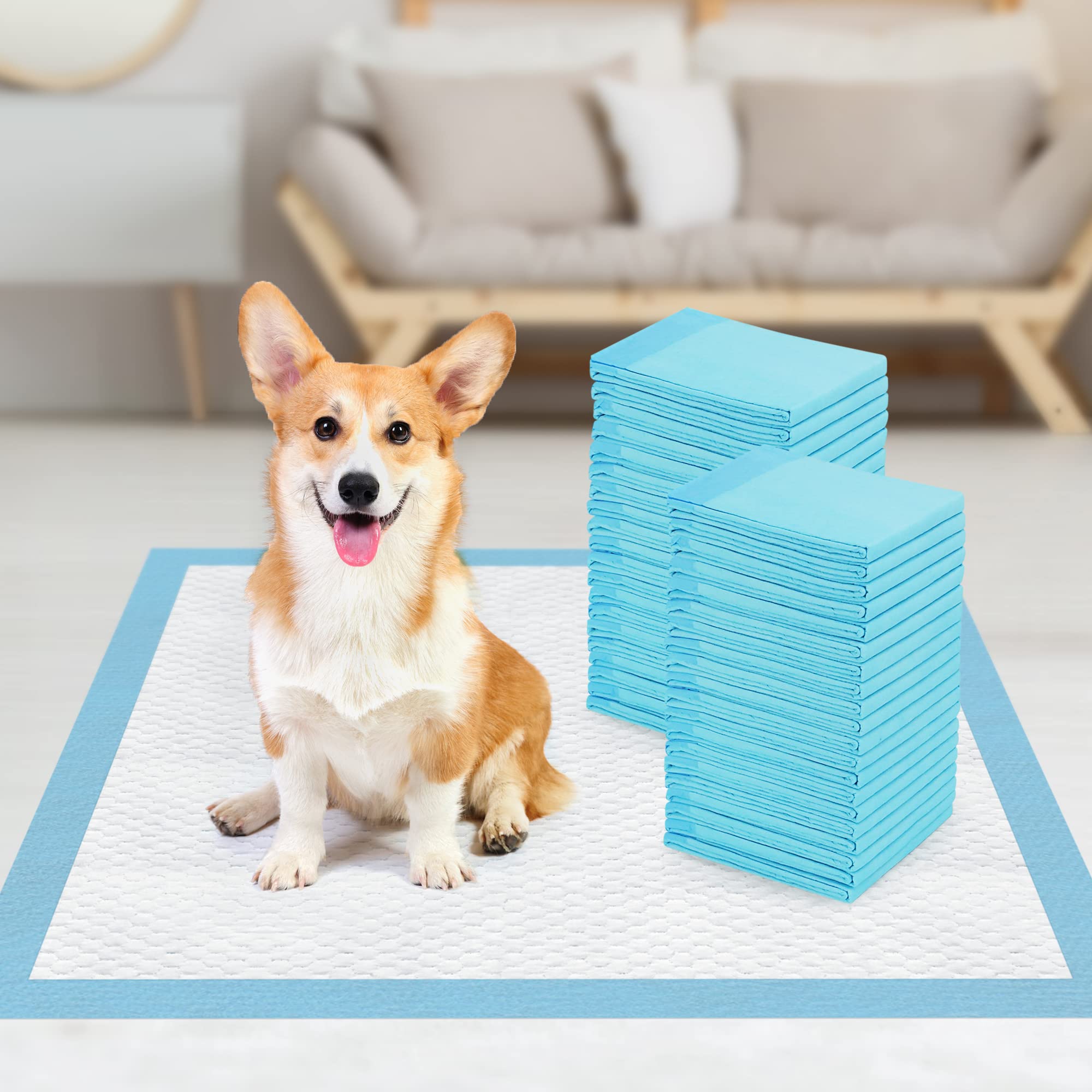 Premium Absorbent Puppy Pads 23