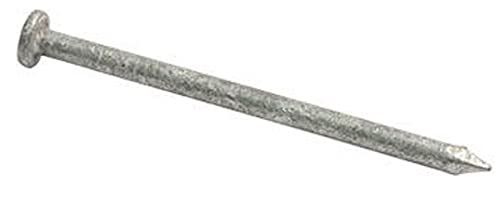 10D Galvanized Common Nails - 50 lbs Bulk Pack for Fencing, Framing, and Construction Projects