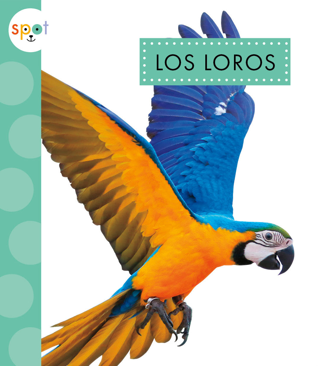 Colorful Parrot Toys for Birds - Interactive & Chewable Parrot Playthings for Enrichment & Training | Perfect for Cages, Playstands & Bird Gyms
