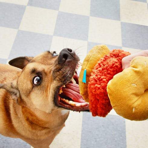 **$18 ONLY: BarkShop The Sloppiest Joe Dog Plush Toy – Durable & Cute Chew Toy for Small & Large Dogs – Perfect for Playtime, Training & Cuddling**