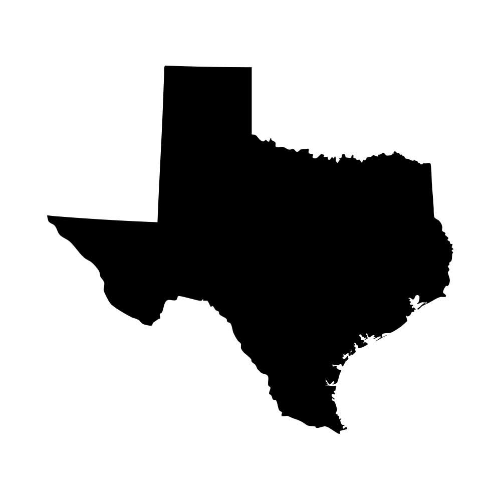 Texas Lone Star State Longhorn Pride Vinyl Decal Sticker - 5