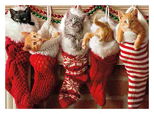 Avanti Press Christmas Cards - Stocking Full of Kittens Holiday Greeting Cards, 50-Pack Bulk Value Set (32568) - Perfect for Office Gifts, Family Holiday Mailings & Festive Party Favors