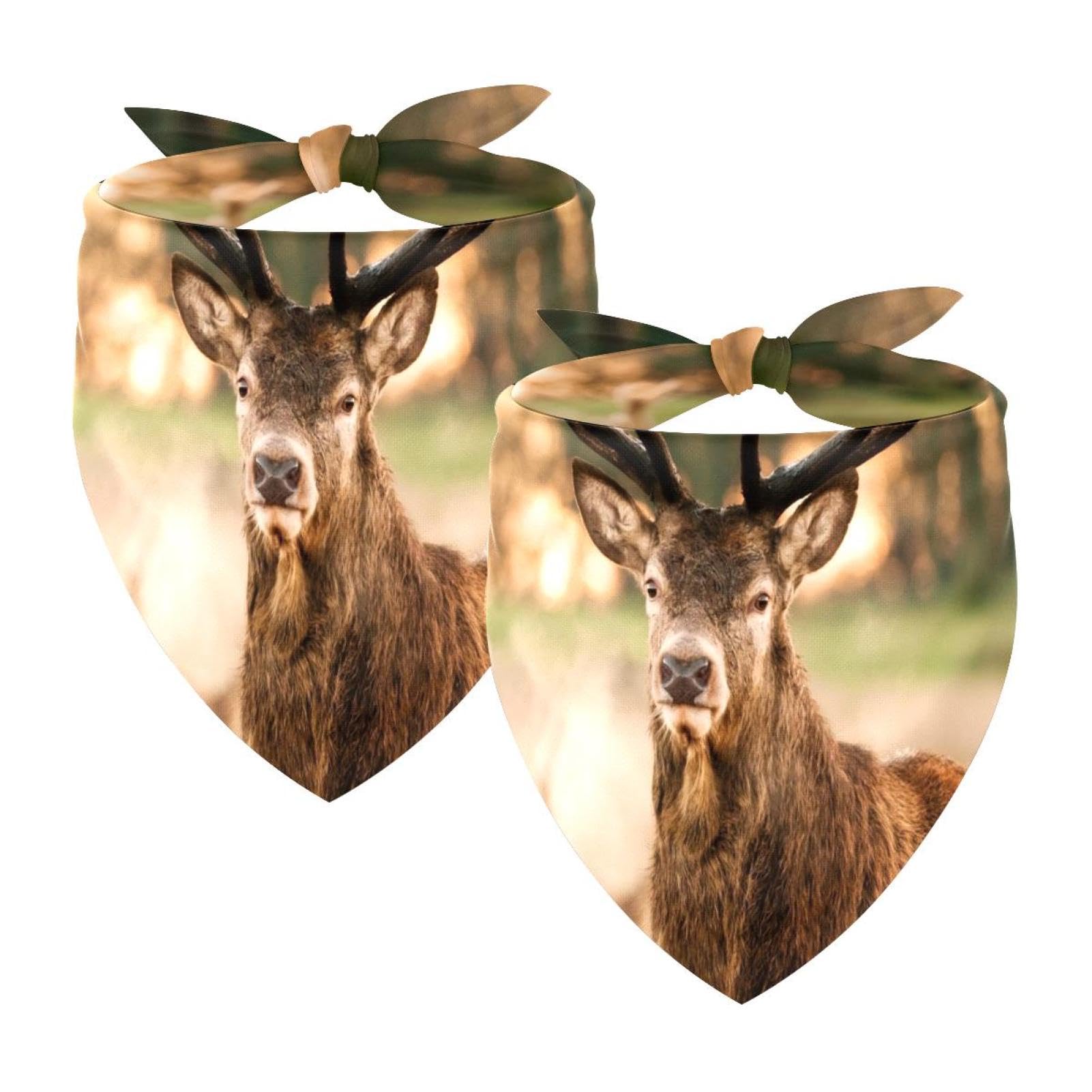 2-Pack Dog Bandanas for Large Pets - Triangle Bibs & Pet Scarves with Forest Wildlife Deer Print - Perfect for Outdoor Adventures, Hiking, and Pet Photos