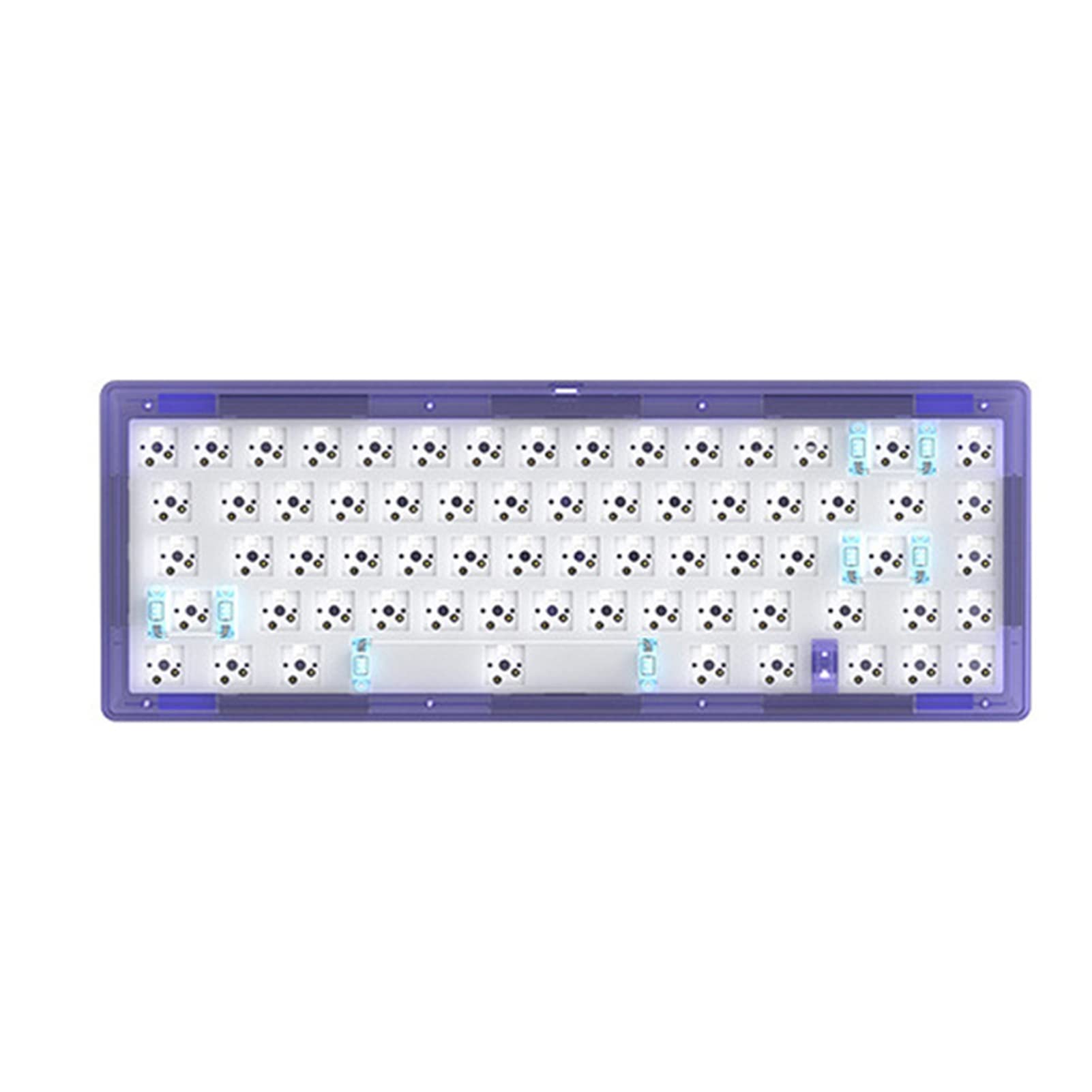 LGBN 67-Key RGB Modular Mechanical Gaming Keyboard DIY Kit - 65% TKL Layout, Type-C Wired, Hot-Swap Switches, Customizable Software, Translucent Purple - Perfect for PC Gaming, Esports & Office Typing