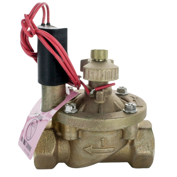 Hunter IBV101GFS 1 Inch Brass Globe Valve with Filter Sentry - Ideal for Plumbing, Water Filtration Systems, and Industrial Applications