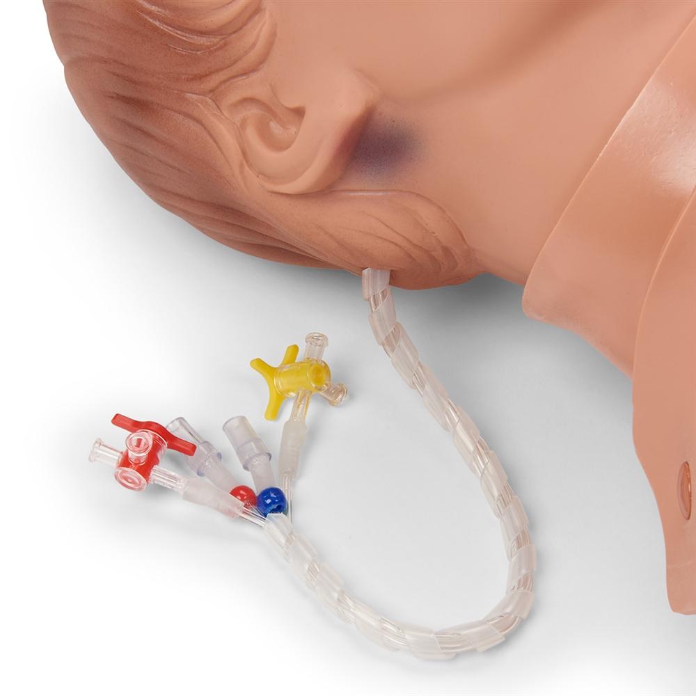 Critical Airway Management Trainer - Advanced Medical Training Manikin for EMT, Paramedics & First Responders - Perfect for CPR, Intubation & Emergency Airway Practice