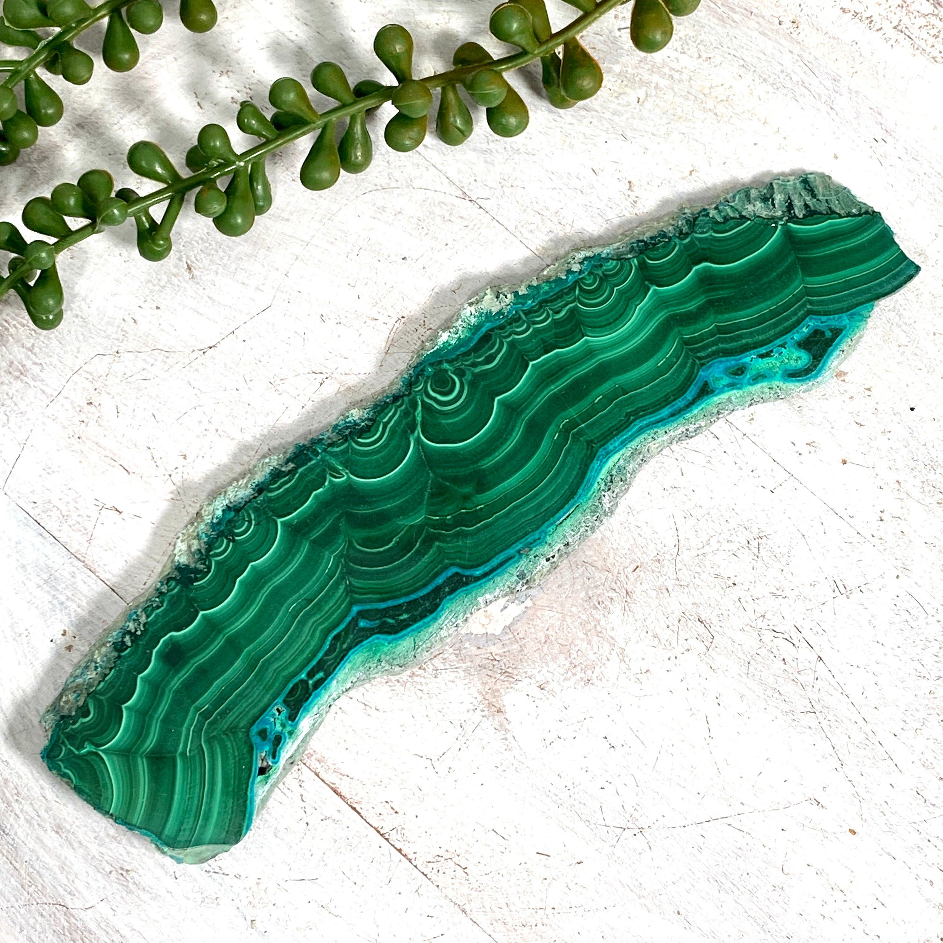 Natural Malachite and Chrysocolla Slice CR3538 - Healing Crystal for Meditation, Home Decor, and Jewelry Making