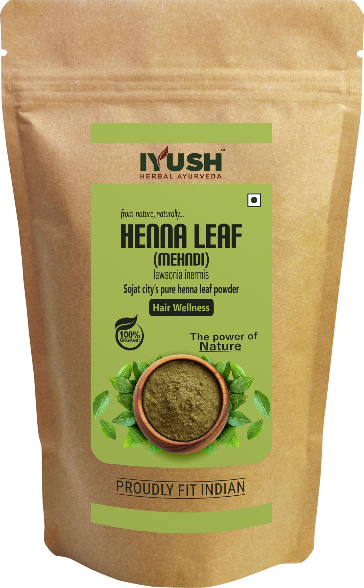 Organic IYUSH Ayurvedic Henna Powder for Hair – 400gm | Natural Herbal Hair Dye & Conditioning Treatment | Chemical-Free Gray Coverage & Hair Coloring | Perfect for DIY Hair Care, Bridal Mehendi, and Natural Hair Styling