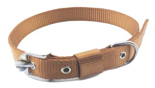 SR VISION Adjustable Nylon Dog Collar - 1 Inch Wide Durable Pet Neck Belt with Metal Buckle (Golden Color) for Small Medium Large Dogs - Perfect for Daily Walks, Training & Outdoor Adventures
