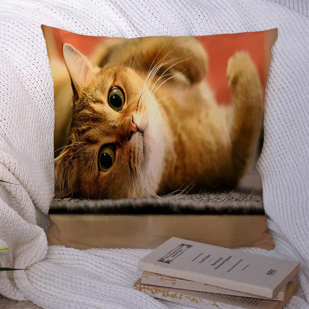 Decorative Polyester Square Throw Pillow Covers 18x18 Inch - Wildlife Animal Print with Sneaky Cat Design for Sofa, Couch & Home Decor - Perfect for Living Room, Bedroom & Cozy Home Styling