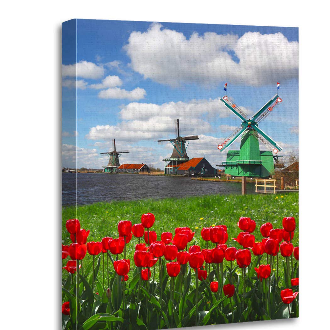 Traditional Dutch Windmills & Red Tulips Canvas Wall Art - 16x20 Inch Amsterdam Holland Landscape Painting, Modern Home Decor for Living Room, Bedroom, Bathroom | Perfect for Farmhouse, Office & Gift Giving