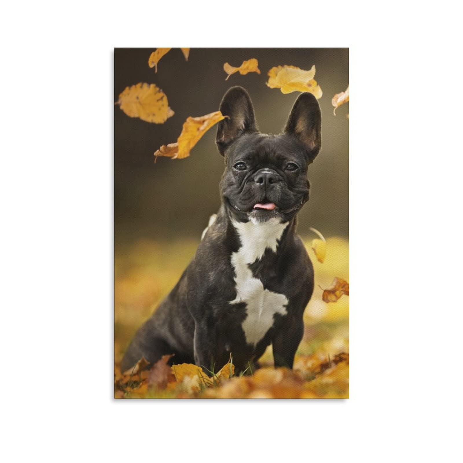 Black French Bulldog Canvas Wall Art Print - 12x18 Inches (30x45cm) Dog Lover Gift, Modern Home Decor for Living Room, Bedroom & Office | Sports Landscape Painting, Framed Poster for Pet Lovers