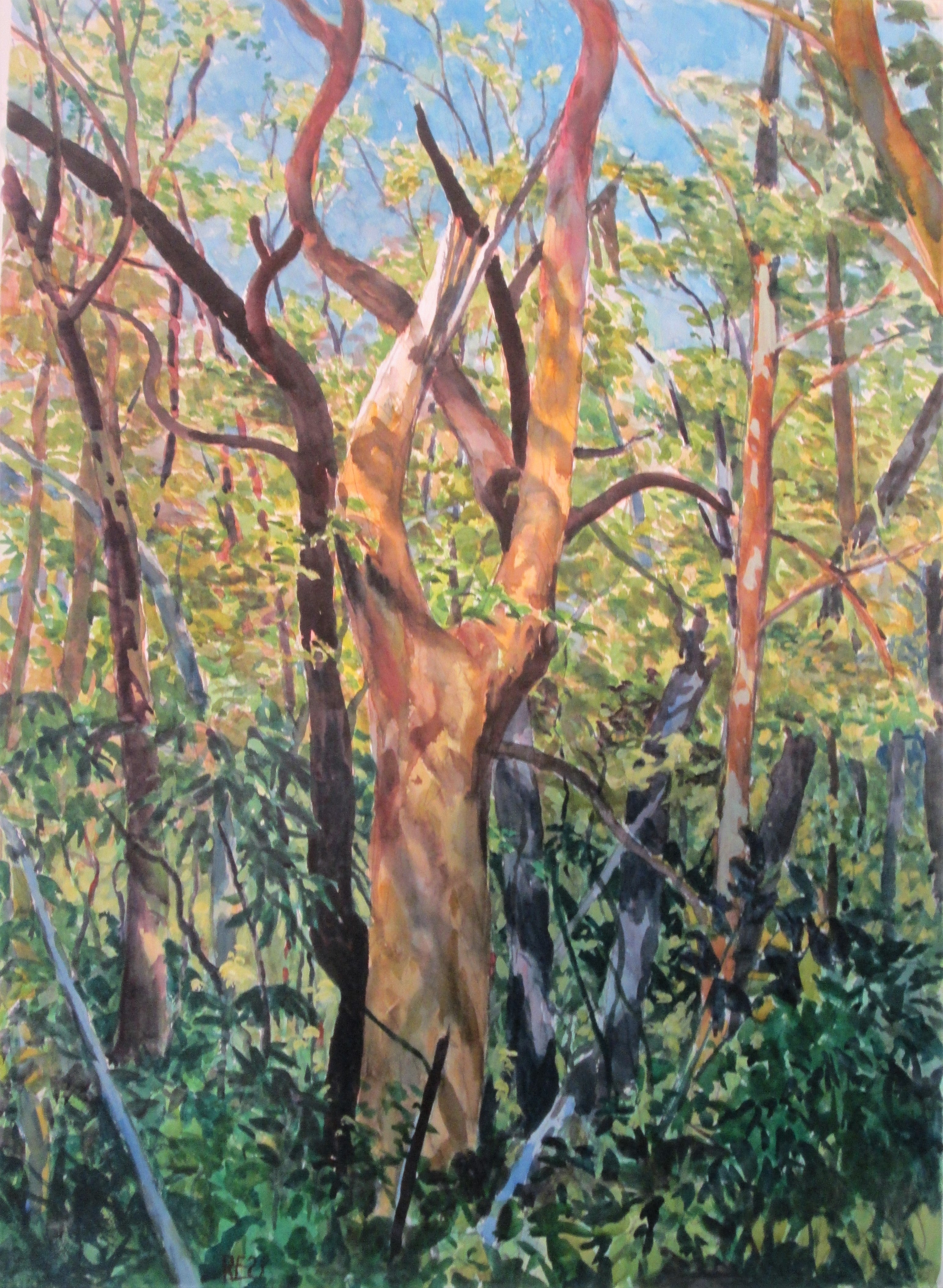 Richard Estell: Tree Fall 2 - Original Art Print for Home & Office Decor | Nature Inspired Wall Art for Living Room, Bedroom & Office Spaces