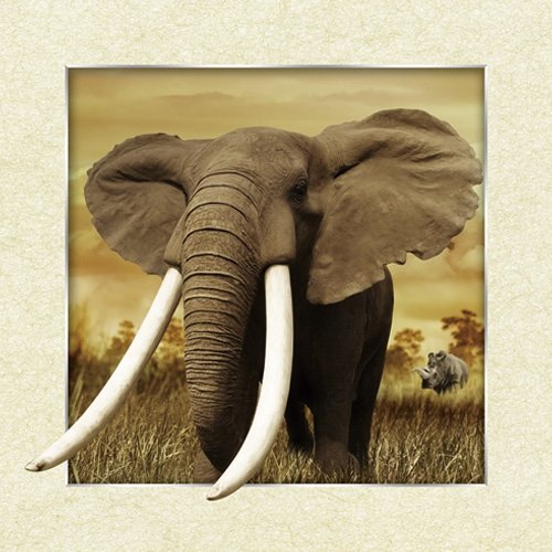 Xu's Home Decor - 3D Lenticular African Elephant Wall Art Painting, Vibrant Animal Poster for Living Room & Bedroom Decor | Unique Home & Office Wall Decorations