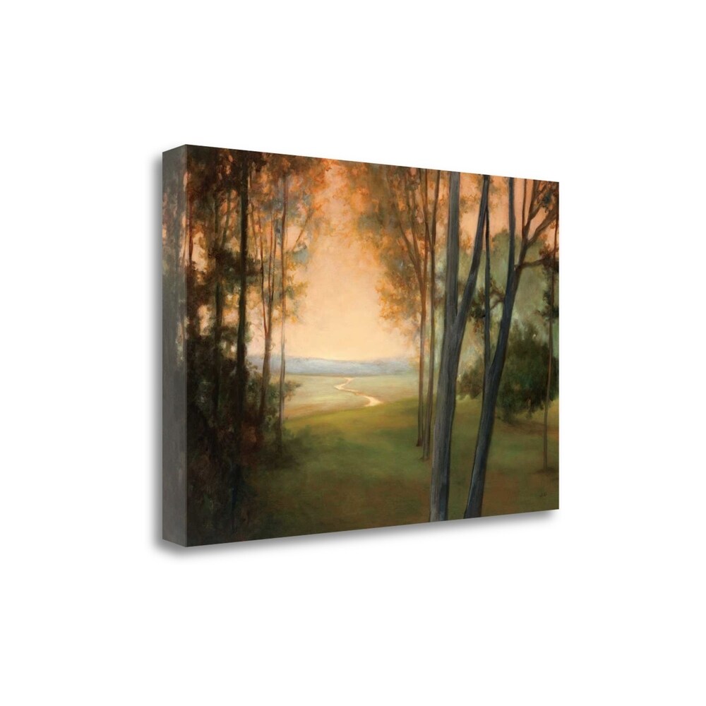 Between The Worlds By Julia Purinton - Premium Fine Art Giclee Print on Gallery Wrap Canvas, Ready to Hang Wall Decor - Perfect for Living Room, Bedroom & Office Artwork