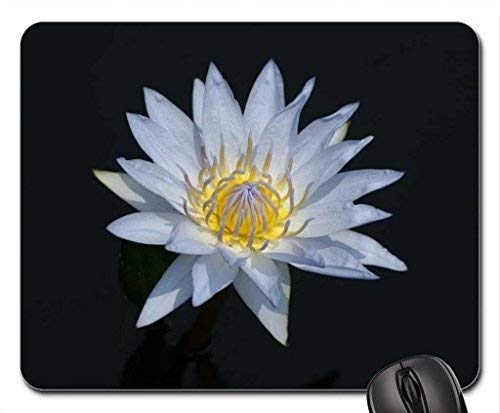 Flying Pig Men Spring Lily Mouse Pad - Floral Design Non-Slip Mousepad for Office & Gaming - Perfect for Computer Workstations, Home Desks, and Gift Giving