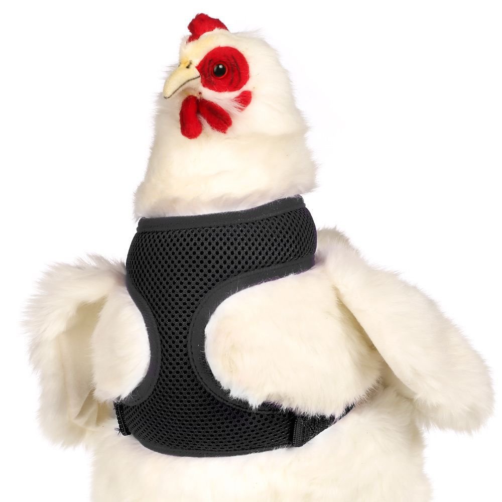 Small Dog Harness for Chickens - Adjustable & Breathable Black Chicken Harness (X-Small) - Perfect for Backyard Poultry, Pet Chickens & Duck Training